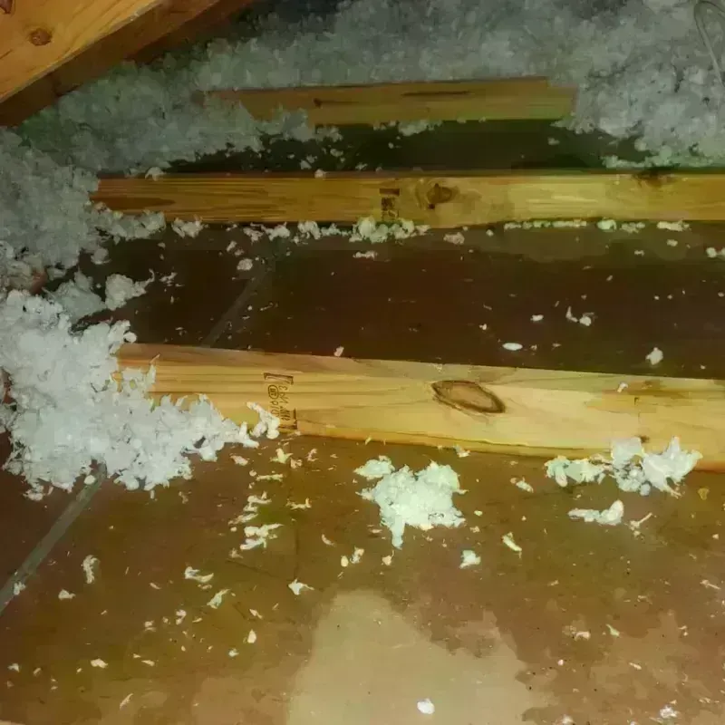 Attic Water Damage in Monroeville, PA